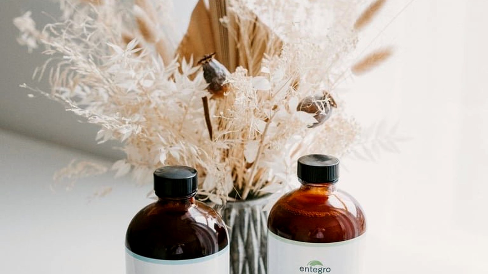 Gut health product photography